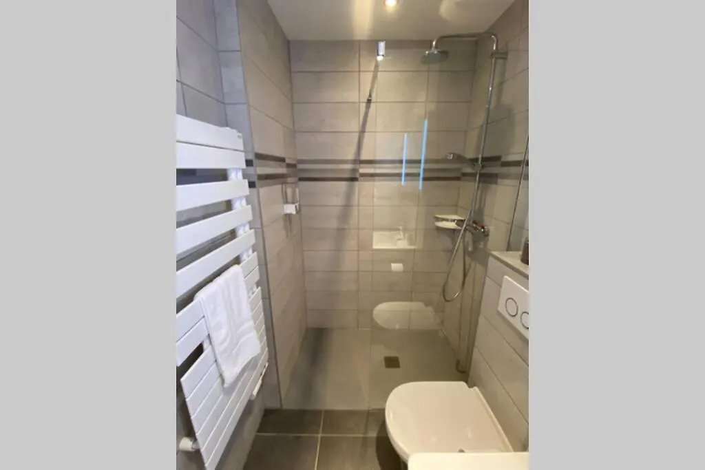 Le Continental Beau T2 Plein Centre + Parking Apartment Annecy 0*,  France
