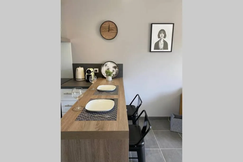 Le Continental Beau T2 Plein Centre + Parking Apartment Annecy