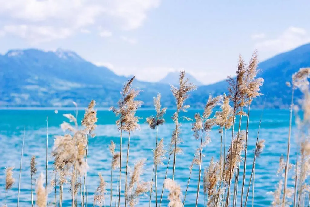 Le Continental Beau T2 Plein Centre + Parking Apartamento Annecy