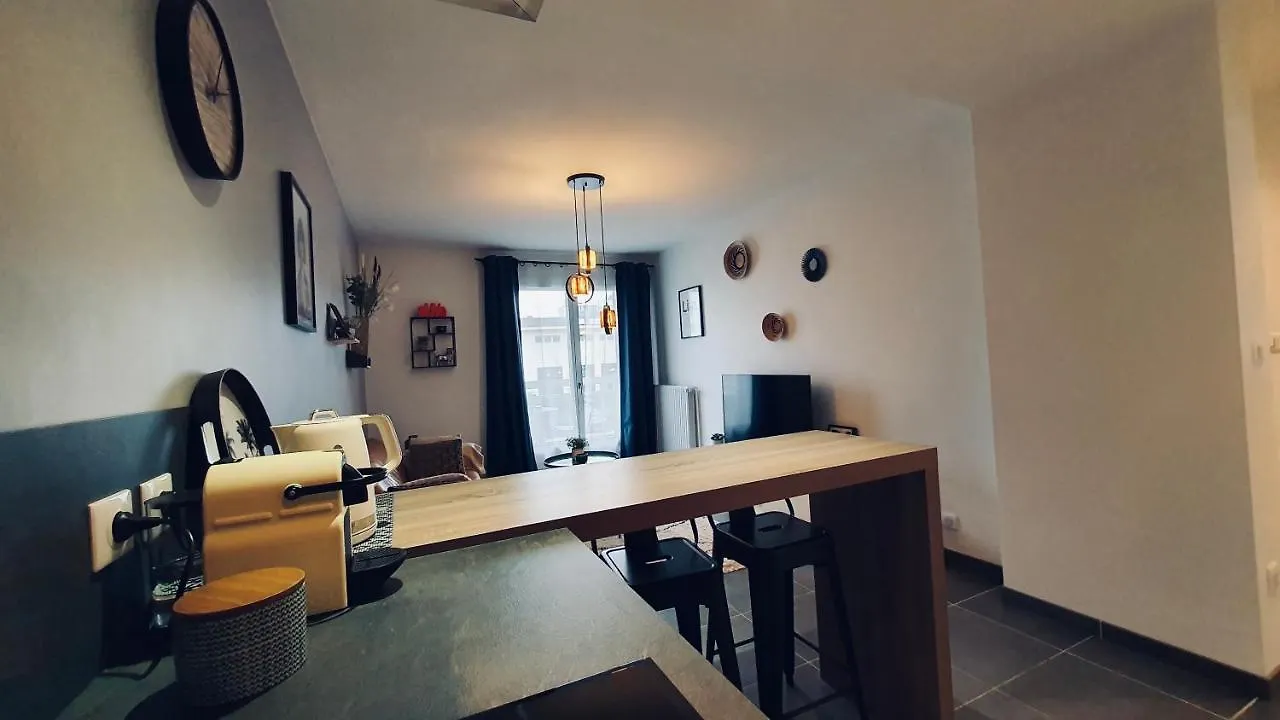 Le Continental Beau T2 Plein Centre + Parking Apartment Annecy